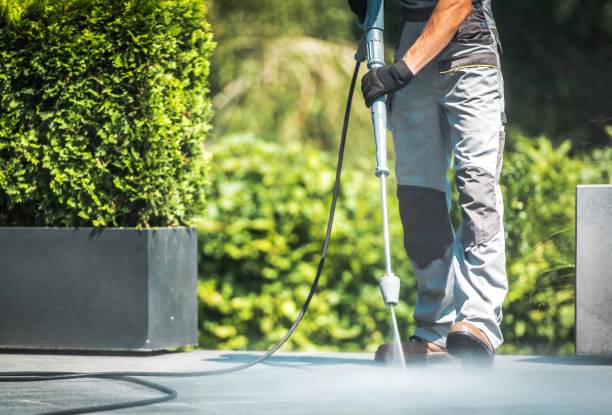 Best Fence Cleaning  in Rainbow Springs, FL